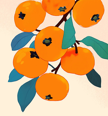 PSD 나무 식물 열매 컬러 잎 농업 과일 일러스트 자연 가지 열대 건강 감 풍경 여름 수확 주름 원예 비타민 조화 생동감 국내일러스트 계절 산업 채소 취미 생태계 영양소 파일형식