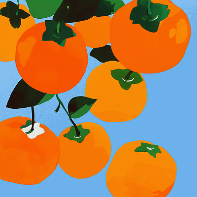 PSD 음식 컬러 잎 농업 채소 과일 일러스트 자연 건강 감 여름 농장 주황색 수확 신선 과일나무 그림 비타민 국내일러스트 나무 식물 계절 산업 생태계 영양소 파일형식