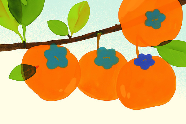 PSD 나무 식물 열매 컬러 잎 농업 과일 일러스트 자연 생명 가지 귤 감 여름 농작물 환경 주황색 수확 과수원 원예 소확행 국내일러스트 계절 산업 채소 취미 생태계 신조어 파일형식