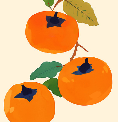 PSD 나무 여유 음료 컬러 잎 겨울 농업 과일 일러스트 자연 생명 가지 귤 한국 건강 감 농사 신선 과일나무 채색 비타민C 국내일러스트 식물 계절 감정 산업 아시아 채소 미술 생태계 비타민 파일형식