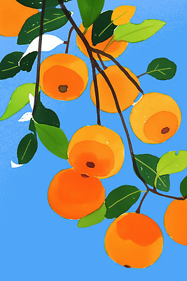 PSD 나무 열매 농업 과일 일러스트 자연 하늘 생명 감 풍경 여름 농장 수확 신선 달콤 과일나무 유기농 밝은색 국내일러스트 식물 웰빙 계절 산업 맛 생태계 파일형식