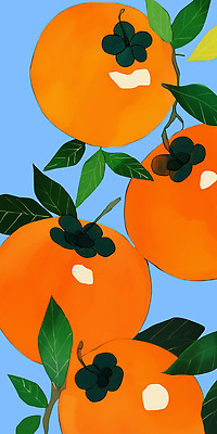 PSD 나무 식물 지구 컬러 백그라운드 잎 채소 과일 일러스트 자연 생명 건강 감 여름 농장 귀여움 신선 과일나무 원예 비타민C 국내일러스트 계절 컨셉 농업 취미 생태계 비타민 파일형식