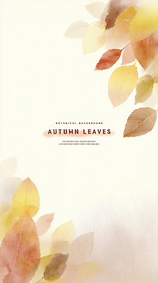 PSD 식물 디자인 꽃잎 컬러 백그라운드 잎 일러스트 자연 나뭇잎 갈색 노란색 고요 가을 우아함 부드러움 뷰티풀 국내일러스트 계절 꽃 컨셉 감각 생태계 파일형식