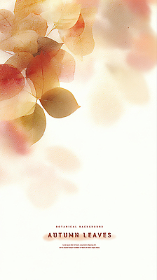 PSD 식물 계절 컬러 백그라운드 잎 일러스트 자연 생명 추상 따뜻함 가을 결합 화사함 조화 드라이플라워 뷰티풀 유화 국내일러스트 꽃 컨셉 무늬 미술 생태계 파일형식