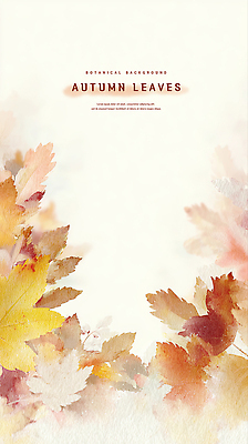 PSD 식물 디자인 계절 예술 컬러 백그라운드 잎 일러스트 자연 수채화 따뜻함 풍경 장식 가을 부드러움 감성 조화 공감 뷰티풀 색감 테마 국내일러스트 컨셉 감각 생태계 파일형식