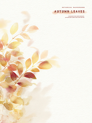 PSD 식물 디자인 계절 예술 컬러 백그라운드 잎 일러스트 자연 따뜻함 풍경 일상 가을 분위기 변화 부드러움 감성 조화 뷰티풀 색감 국내일러스트 컨셉 라이프 감각 생태계 파일형식