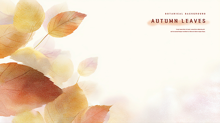 모양 PSD 식물 디자인 계절 예술 컬러 배경화면 백그라운드 잎 일러스트 자연 나뭇잎 따뜻함 가을 분위기 조화 뷰티풀 색채 소프트 차분 국내일러스트 컨셉 생태계 파일형식