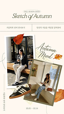 나무 템플릿 계절 패션 낙엽 거리 대화 외투 카페 가을 신선 변화 편안함 손목시계 방문객 의료성형뷰티 스타일 이미지템플릿 AI파일 식물 시계 컨셉 상의 잎 장신구 말하기 상점 감각 파일형식 벡터