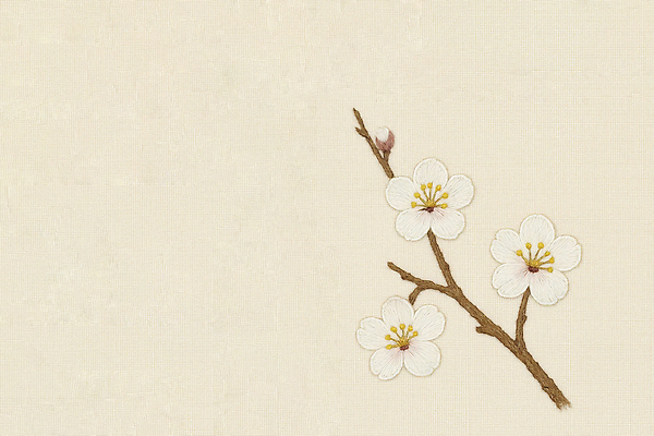 JPG 편집이미지 전통 디자인 꽃 예술 백그라운드 자연 가지 장식 흰색 자수 뷰티풀 수예 편집실사 AI포토 AI콘텐츠 식물 컬러 채소 취미 CG 생태계 파일형식