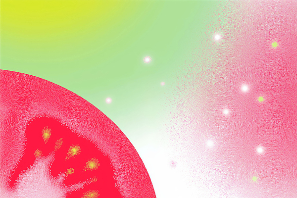 JPG 디자인 백그라운드 채소 과일 일러스트 자연 추상 수박 여름 신선 그림 상큼 조화 과일조각 밝은색 색감 국내일러스트 AI일러스트 AI콘텐츠 계절 조각 무늬 생태계 파일형식