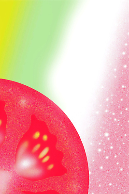 JPG 식물 디자인 예술 컬러 백그라운드 토마토 채소 일러스트 생명 조명 그래픽 빨간색 표현 그림 질감 작품 이미지 창의성 국내일러스트 AI일러스트 AI콘텐츠 미술 파일형식