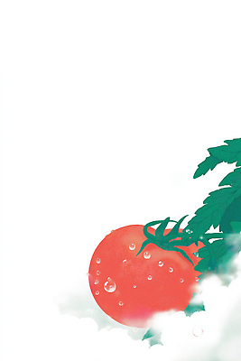 JPG 식물 음식 컬러 토마토 채소 일러스트 자연 생명 아침 건강 요리 초록색 농작물 농사 수확 성장 신선 이슬 계산대 유기농 비타민 국내일러스트 AI일러스트 AI콘텐츠 주간 웰빙 농업 생태계 영양소 파일형식