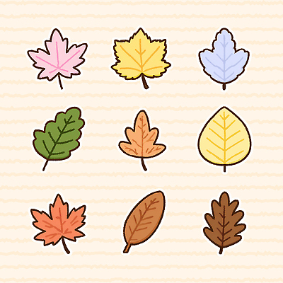 PSD 식물 디자인 컬러 백그라운드 단풍 잎 패턴 일러스트 자연 생명 나뭇잎 다양 가을 일렬 조화 뷰티풀 자연물 국내일러스트 계절 다수 무늬 생태계 파일형식