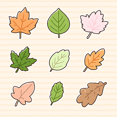 모양 PSD 식물 디자인 계절 컬러 백그라운드 일러스트 자연 나뭇잎 장식 가을 그리기 공예 생태계 일렬 감성 뷰티풀 국내일러스트 컨셉 잎 모션 취미 파일형식