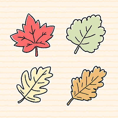 모양 PSD 식물 디자인 예술 컬러 일러스트 자연 나뭇잎 빨간색 초록색 갈색 노란색 가을 그리기 뷰티풀 창작 디지털아트 아기자기 국내일러스트 계절 컨셉 잎 모션 생태계 파일형식