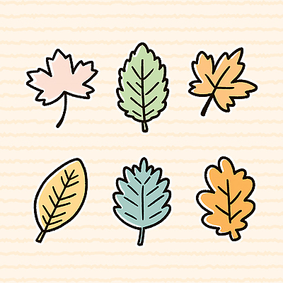 모양 PSD 식물 디자인 예술 컬러 패턴 일러스트 자연 생명 나뭇잎 수채화 취미 환경 가을 생태계 조화 뷰티풀 창의성 국내일러스트 계절 잎 무늬 파일형식