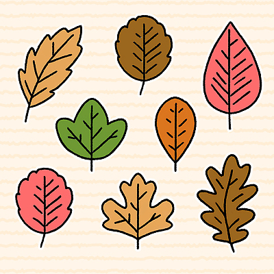 모양 PSD 식물 디자인 계절 종이 예술 컬러 백그라운드 일러스트 자연 생명 나뭇잎 그래픽 가을 배열 조화 뷰티풀 색채 국내일러스트 잎 생태계 파일형식