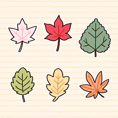 모양 PSD 식물 디자인 계절 예술 컬러 백그라운드 단풍 잎 일러스트 자연 따뜻함 그래픽 빨간색 초록색 노란색 주황색 가을 생태계 국내일러스트 파일형식