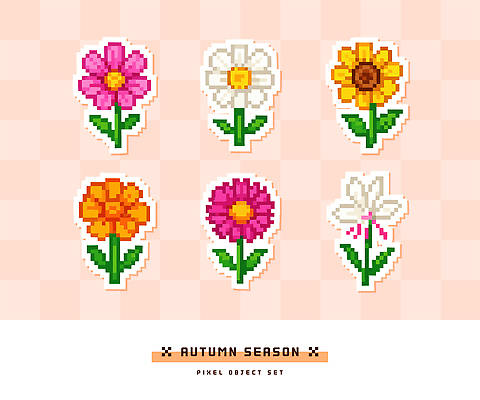 식물 디자인 꽃 예술 컬러 꽃다발 일러스트 자연 가을꽃 풍경 그래픽 장식 귀여움 디지털 가을 색감 창작 국내일러스트 AI파일 계절 컨셉 생태계 파일형식 벡터 가을_계절