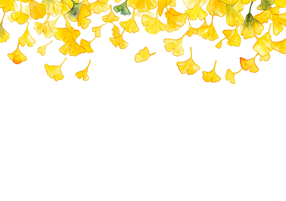 JPG 나무 식물 그릇 계절 공원 감정 컬러 백그라운드 일러스트 자연 생명 바람 풍경 여러개 산책 가을 우아함 은행 뷰티풀 국내일러스트 AI일러스트 AI콘텐츠 자연요소 식기 공공시설 다수 컨셉 날씨 휴식 금융 생태계 파일형식