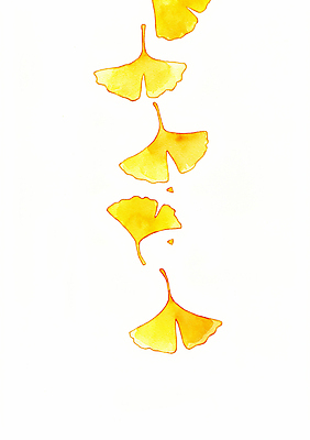 JPG 식물 계절 예술 백그라운드 일러스트 자연 생명 따뜻함 풍경 노란색 고요 가을 은행잎 감성 뷰티풀 색감 창의성 디지털아트 흩날리기 국내일러스트 AI일러스트 AI콘텐츠 컬러 컨셉 잎 모션 생태계 파일형식