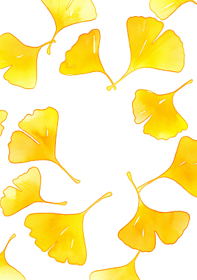 JPG 식물 디자인 계절 예술 상징 컬러 백그라운드 패턴 일러스트 자연 생명 장식 노란색 가을 은행잎 단순화된 뷰티풀 흩어짐 국내일러스트 AI일러스트 AI콘텐츠 컨셉 잎 무늬 생태계 파일형식