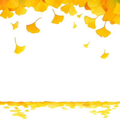 JPG 컬러 백그라운드 잎 일러스트 자연 하늘 바닥 풍경 평화 고요 가을 감각 황금 떨어짐 은행나무 조화 뷰티풀 색채 시기 국내일러스트 AI일러스트 AI콘텐츠 나무 식물 계절 컨셉 생태계 파일형식