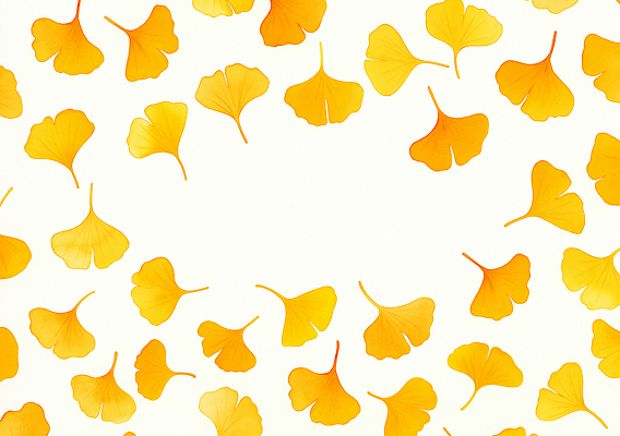 JPG 식물 디자인 계절 예술 컬러 백그라운드 잎 일러스트 자연 생명 풍경 장식 노란색 가을 흰색 질감 은행잎 조화 뷰티풀 국내일러스트 AI일러스트 AI콘텐츠 생태계 파일형식