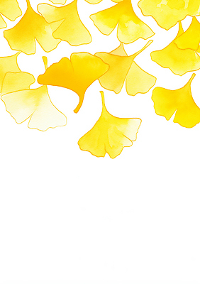 JPG 나무 식물 계절 감정 컬러 백그라운드 잎 일러스트 자연 따뜻함 풍경 노란색 가을 떨어짐 은행잎 흐림 뷰티풀 색감 흩날리기 국내일러스트 AI일러스트 AI콘텐츠 컨셉 모션 날씨 생태계 파일형식