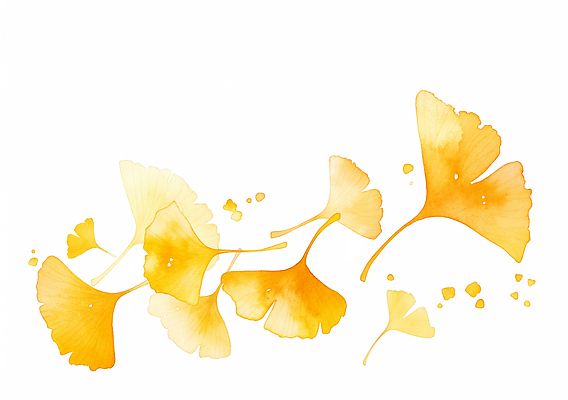 JPG 식물 디자인 감정 예술 컬러 잎 일러스트 자연 수채화 그래픽 장식 노란색 화려 편안함 은행잎 부드러움 감성 조화 뷰티풀 색감 창작 국내일러스트 AI일러스트 AI콘텐츠 컨셉 감각 생태계 파일형식