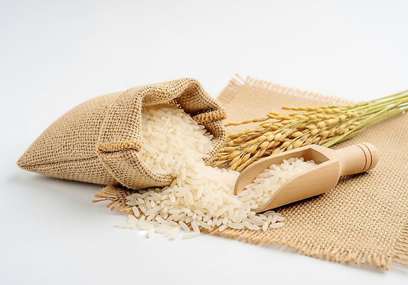 JPG 편집이미지 전통 농업 자연 곡류 건강 농작물 식사 고요 수확 쌀 볏짚 자루 풍요 흩어짐 편집실사 AI포토 AI콘텐츠 산업 컨셉 짚 CG 생태계 파일형식