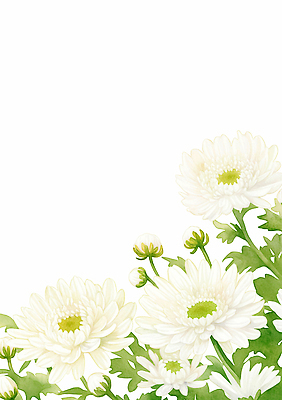 JPG 식물 디자인 꽃 예술 컬러 잎 일러스트 자연 생명 국화 초록색 정원 봄 생태계 향기 조경 화사함 조화 만개 뷰티풀 국내일러스트 AI일러스트 AI콘텐츠 계절 컨셉 냄새 파일형식