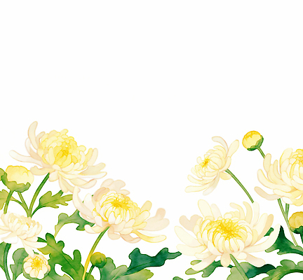 JPG 식물 꽃잎 꽃 화초 일러스트 자연 생명 아침 국화 풍경 여름 햇빛 노란색 정원 들꽃 원예 식물원 부드러움 화사함 뷰티풀 싱그러움 국내일러스트 AI일러스트 AI콘텐츠 주간 계절 컬러 컨셉 취미 태양 감각 생태계 파일형식