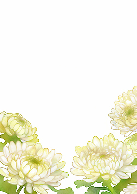 JPG 식물 디자인 꽃 예술 분홍색 컬러 백그라운드 잎 일러스트 자연 국화 장식 흰색 우아함 배열 그림 부드러움 감성 파스텔 조화 뷰티풀 국내일러스트 AI일러스트 AI콘텐츠 컨셉 학용품 감각 생태계 파일형식