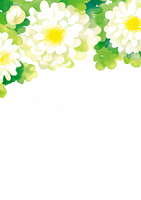 JPG 식물 디자인 꽃 예술 컬러 백그라운드 잎 일러스트 자연 수채화 장식 여름 노란색 정원 흰색 분위기 화사함 감성 뷰티풀 색감 디테일 국내일러스트 AI일러스트 AI콘텐츠 계절 컨셉 생태계 파일형식