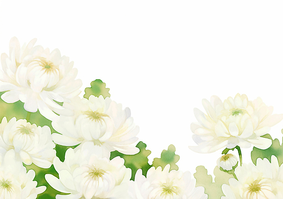 JPG 식물 꽃 꽃밭 일러스트 자연 생명 국화 풍경 일상 초록색 여름 환경 정원 생태계 식물원 화사함 뷰티풀 국내일러스트 AI일러스트 AI콘텐츠 계절 컬러 컨셉 라이프 파일형식