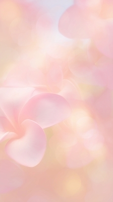 JPG 편집이미지 꽃잎 꽃 분홍색 컬러 백그라운드 자연 아침 여름 햇빛 정원 부드러움 조화 뷰티풀 이미지편집 AI컴퓨터그래픽 AI콘텐츠 주간 식물 계절 태양 감각 생태계 파일형식