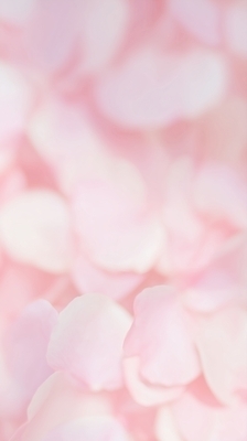 JPG 편집이미지 꽃잎 꽃 분홍색 컬러 잎 자연 생명 풍경 쌓기 희망 봄 기쁨 부드러움 뷰티풀 이미지편집 AI컴퓨터그래픽 AI콘텐츠 식물 계절 감정 모션 감각 생태계 파일형식