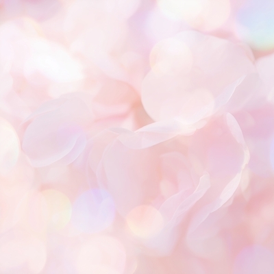 JPG 편집이미지 꽃잎 분홍색 부케 백그라운드 자연 여름 빛 부드러움 화사함 감성 조화 뷰티풀 이미지편집 AI컴퓨터그래픽 AI콘텐츠 계절 꽃 컬러 꽃다발 컨셉 감각 생태계 파일형식