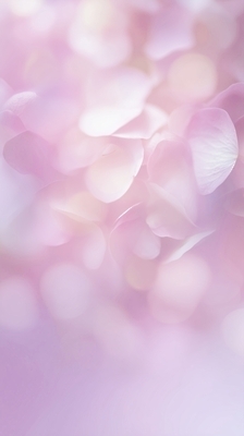 JPG 편집이미지 계절 꽃잎 꽃 분홍색 컬러 백그라운드 자연 카메라 촬영 축제 부드러움 감성 뷰티풀 이미지편집 AI컴퓨터그래픽 AI콘텐츠 식물 컨셉 전자제품 감각 생태계 파일형식