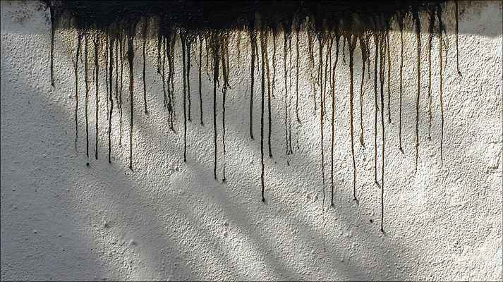 JPG 편집이미지 건축 벽 컬러 패턴 난간 자연 그림자 환경 도시 얼룩 수분 질감 오후 편집실사 AI포토 AI콘텐츠 무늬 CG 생태계 파일형식