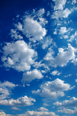 JPG 편집이미지 그릇 자연 날씨 풍경 빛 태양 일몰 변화 흰구름 편집실사 AI포토 AI콘텐츠 자연요소 식기 컨셉 노을 CG 생태계 파일형식 구름_자연