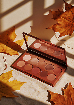 JPG 편집이미지 컬러 낙엽 탁자 여름 화장 뷰티 반사 갈색 화장품 가을 팔레트 부드러움 조화 뷰티풀 편집실사 AI포토 AI콘텐츠 계절 가구 잎 감각 CG 파일형식