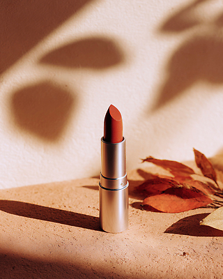 JPG 편집이미지 컬러 잎 자연 조명 따뜻함 햇빛 뷰티 화장품 립스틱 가을 우아함 편안함 편집실사 AI포토 AI콘텐츠 식물 계절 컨셉 태양 감각 CG 생태계 파일형식