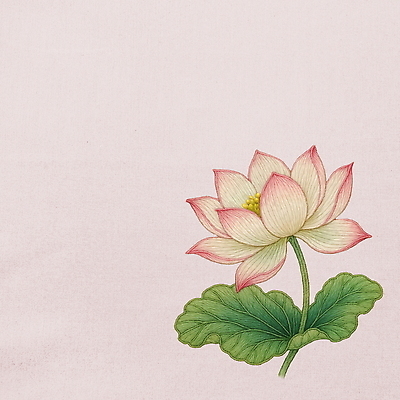 PSD 식물 편집이미지 예술 컬러 백그라운드 잎 자연 연꽃 평화 수중식물 머리핀 수조 그림 향기 조화 뷰티풀 이미지편집 꽃 컨셉 장신구 생태계 냄새 파일형식