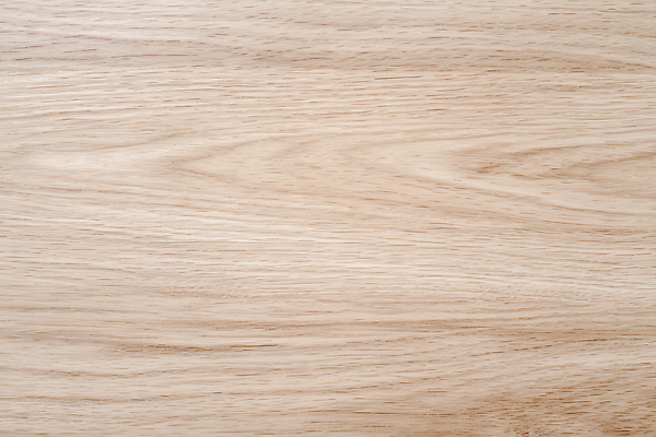 JPG 나무 편집이미지 디자인 컬러 가구 재료 자연 표면 일상 목재 나뭇결 인테리어 편안함 질감 부드러움 뷰티풀 편집실사 AI포토 AI콘텐츠 식물 생활용품 라이프 감각 CG 생태계 파일형식