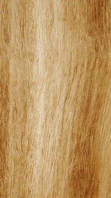 JPG 나무 편집이미지 컬러 가구 무늬 자연 재질 표면 조명 따뜻함 인테리어 질감 나무바닥 소재 결 편집실사 AI포토 AI콘텐츠 식물 디자인 생활용품 바닥 CG 생태계 파일형식