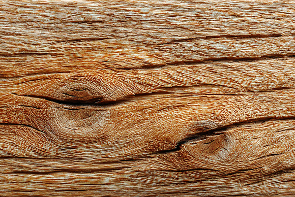 JPG 나무 편집이미지 컬러 자연 생명 표면 목재 환경 관찰 질감 결 뷰티풀 편집실사 AI포토 AI콘텐츠 식물 무늬 재료 모션 CG 생태계 파일형식