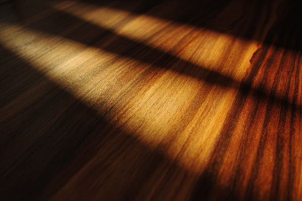 JPG 나무 편집이미지 자연 표면 조명 실내 따뜻함 그림자 빛 일몰 공간 분위기 편안함 질감 결 편집실사 AI포토 AI콘텐츠 식물 컨셉 무늬 내부 노을 감각 CG 생태계 파일형식