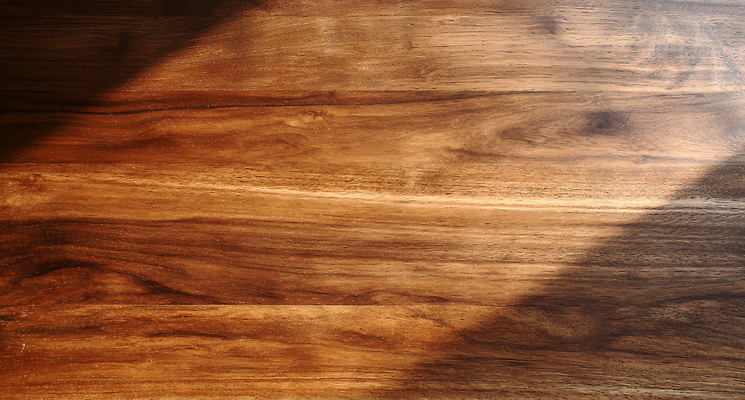 JPG 나무 편집이미지 디자인 컬러 패턴 자연 조명 바닥 실내 따뜻함 목재 빛 분위기 질감 소재 편집실사 AI포토 AI콘텐츠 식물 컨셉 무늬 재료 내부 CG 생태계 파일형식